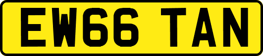 EW66TAN