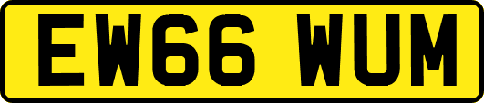 EW66WUM