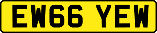 EW66YEW