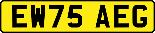 EW75AEG