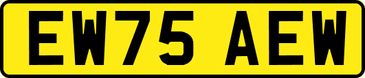 EW75AEW