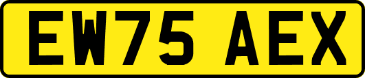 EW75AEX