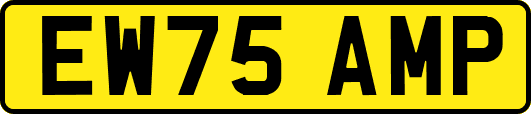 EW75AMP