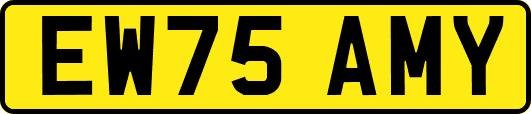 EW75AMY