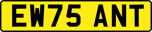EW75ANT