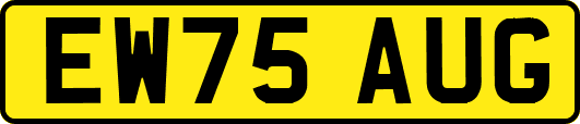 EW75AUG