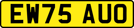 EW75AUO