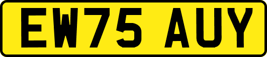 EW75AUY
