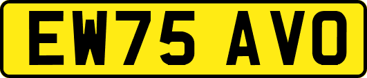 EW75AVO
