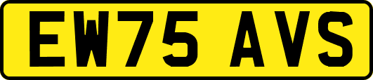 EW75AVS
