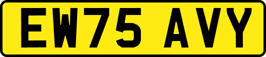 EW75AVY
