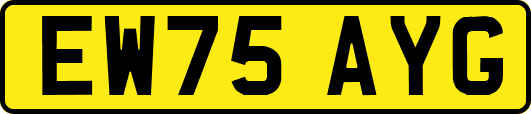 EW75AYG