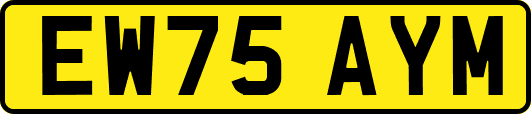 EW75AYM