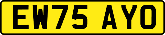 EW75AYO
