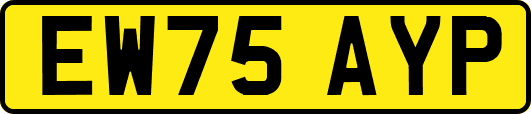 EW75AYP