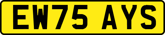 EW75AYS