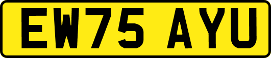 EW75AYU