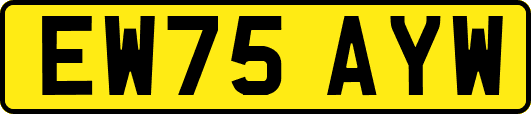 EW75AYW