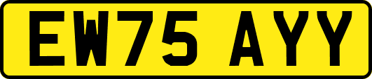 EW75AYY