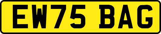 EW75BAG