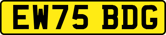 EW75BDG