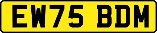 EW75BDM
