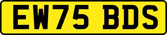 EW75BDS