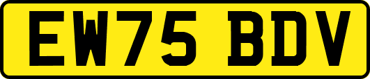 EW75BDV