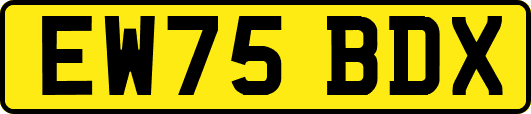 EW75BDX