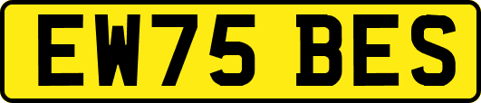 EW75BES