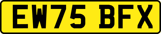 EW75BFX