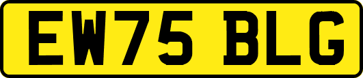 EW75BLG