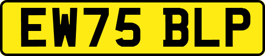 EW75BLP
