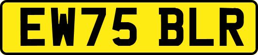 EW75BLR