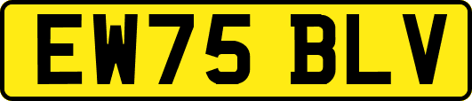 EW75BLV