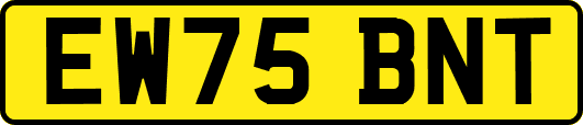 EW75BNT