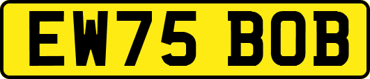 EW75BOB