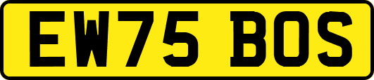 EW75BOS