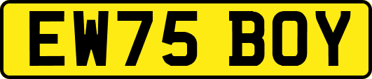 EW75BOY