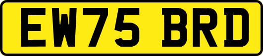 EW75BRD