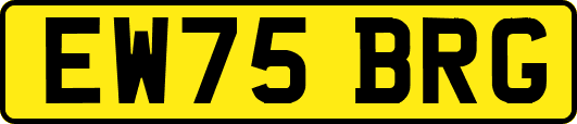 EW75BRG