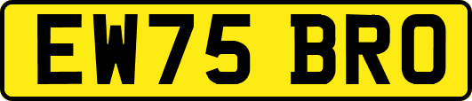 EW75BRO