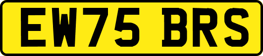 EW75BRS