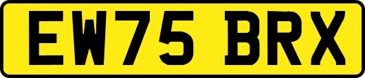 EW75BRX