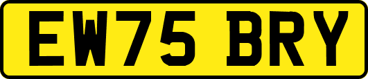 EW75BRY