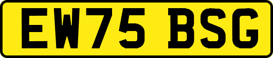 EW75BSG