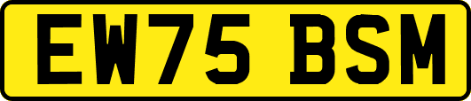 EW75BSM
