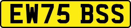 EW75BSS