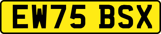 EW75BSX