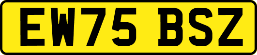 EW75BSZ